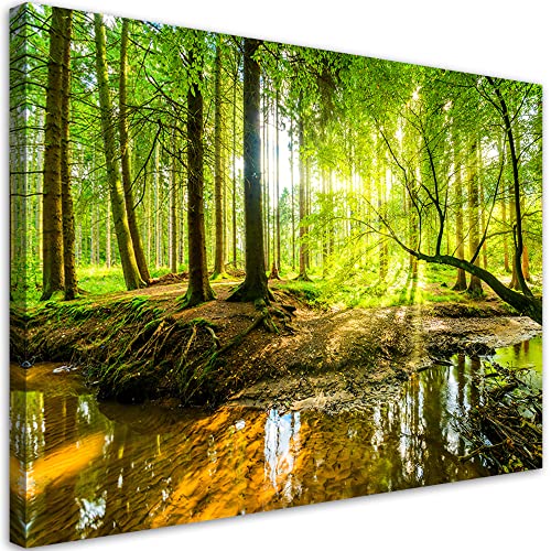 Feeby Vlies Leinwandbild Wald Natur Bäume 90x60 cm Druckbild Wandbild Wanddekoration Deko Wand Aesthetic Sonnenstrahlen Wurzeln Bach Grün