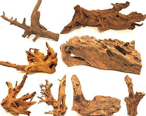Wohnkult Mangrovenwurzel XL 45-60 cm Deko Aquarium Wurzel Holz Mangrove
