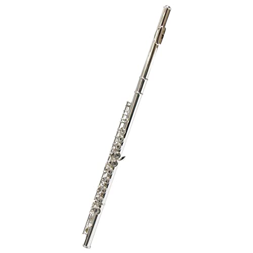 PECY Professionelles C-Key-Flöteninstrument, Weiß Kupferversilbert, 16-Loch-Schülerflöte Querflöten