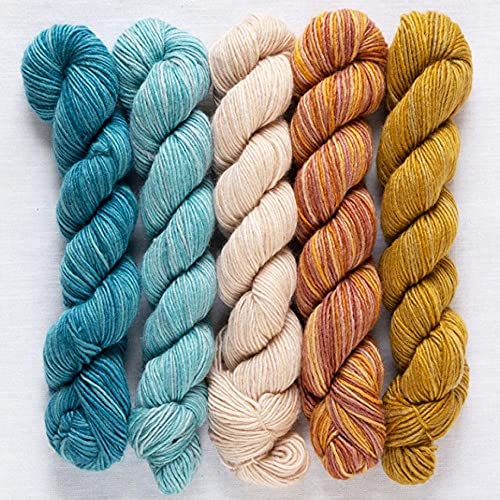 Manos del Uruguay Silk Blend Fino Minis Set Phoebe, 100g (5x20g) Wolle mit Seide zum Stricken, Merino extrafine + Seide, handgefärbt mit wunderschönem Farbverlauf