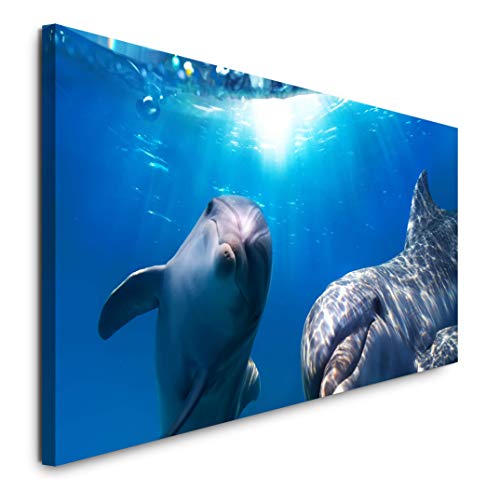 Paul Sinus Art GmbH Delfine 120x 50cm Panorama Leinwand Bild XXL Format Wandbilder Wohnzimmer Wohnung Deko Kunstdrucke