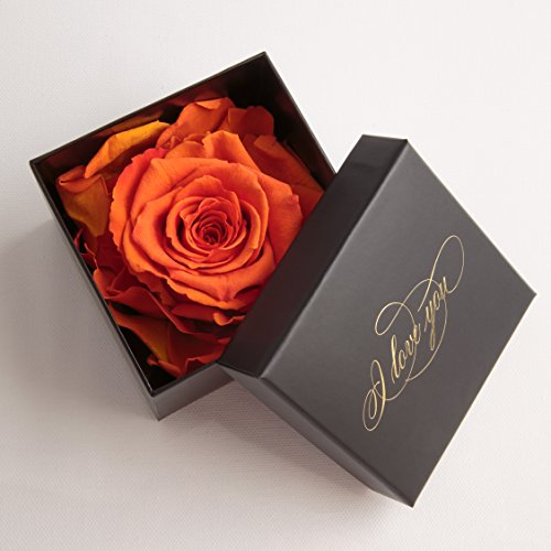 Infinity Rose Orange haltbar 3 Jahre Goldschrift I LOVE YOU schwarze Rosenbox Geschenk für Frauen (1 Rose, Schwarz-Orange)