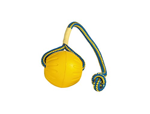 Fantastic Foam Ball Spielball -Get It- mit Wurfseil 8,9 cm