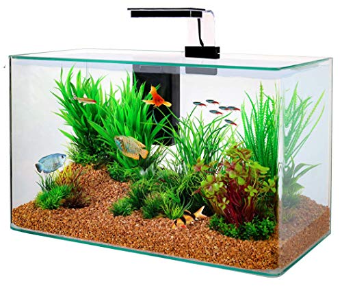 Zolux Aquarium-Set Aqua Clear 50