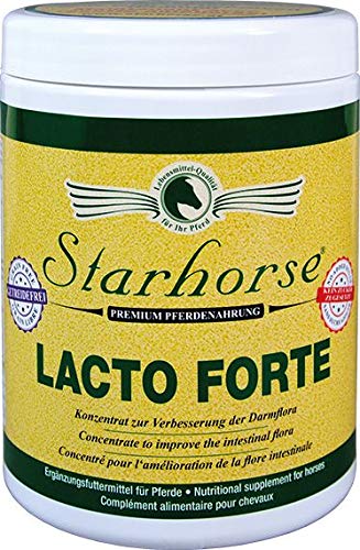 Starhorse Lacto Forte 600g Dose für Pferde Probiotika