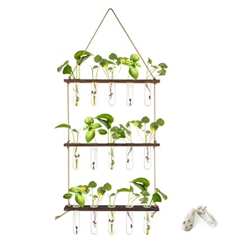 Wandbehang Pflanzgefäß Terrarium mit Holzständer, 3 Etagen Mini-Reagenzglasvasen, hängendes Glas-Pflanzgefäß, Anzuchtstation für Hydrokulturpflanzen, Garten Dekoration, (Muster 1)