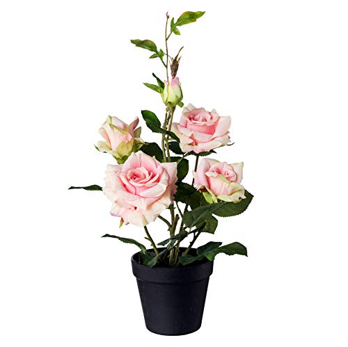 Kunstpflanze »Rosenbusch«, im Topf, H: 48 cm
