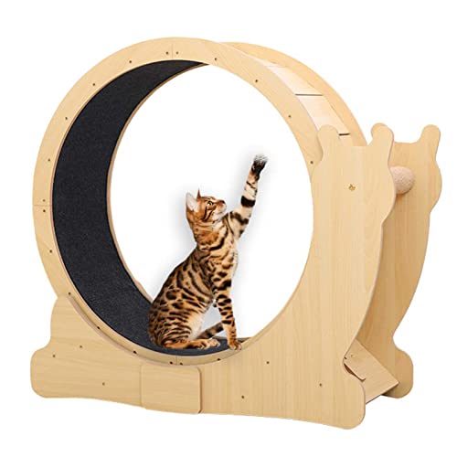 Katzenlaufrad für Indoor-Katzen mit Schloss,Katzenlaufband zum Abnehmen,Einfach Montiertes Katzen-Laufbandrad,leises Laufen für die Gesundheit der Katze