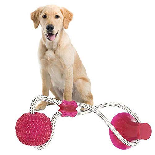 Fewao Multifunktions-Spielzeug für Haustiere, selbstspielend, Hüpfball mit starkem Saugnapf, langlebiges Hundeseil-Spielzeug zur Reinigung von Zähnen für kleine, mittelgroße und große Hunde