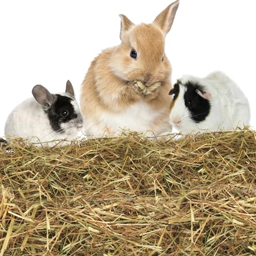 Nobleza - (10 * 1kg Kaninchen Wiesenhe, Hauptfutter für Hasen mit Gemüse, Natürliches Nagerfutterlebenswichtigen, Futter für Meerschweinchen, Vitaminen und Mineralien