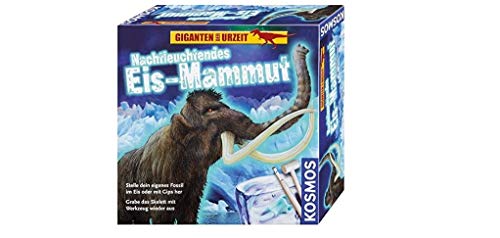 Kosmos 630478 - Nachtleuchtendes EIS-Mammut