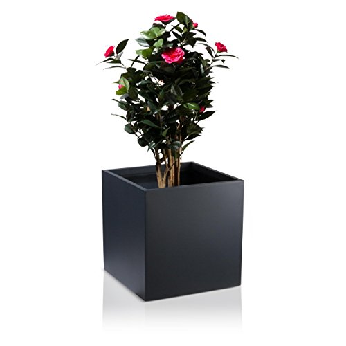 Pflanzkübel CUBO Fiberglas Pflanztopf - Farbe: anthrazit matt - robuster, UV-beständiger, wetterfester & frostsicherer Blumentopf für den Garten - TÜV-geprüfte Qualität…