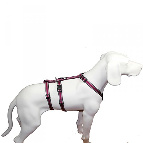 Das Original - NoExit Hundegeschirr ® - 100 % ausbruchsicher für Angsthunde, Panikgeschirr, pflaume Muster, Bauchumfang 70-90 cm, 25 mm Bandbreite