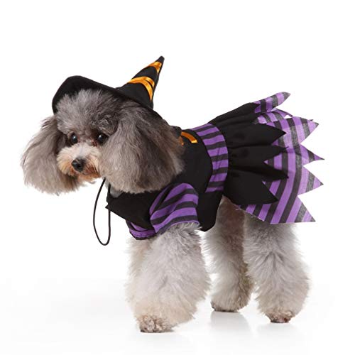 POPETPOP Hund Hexenkostüm, kleine Hunde Halloween Kostüm Lustige Haustier Kostüm Kreative Hexe mit Hut Cosplay Kleidung für Welpen Hund Hund Hund Größe S