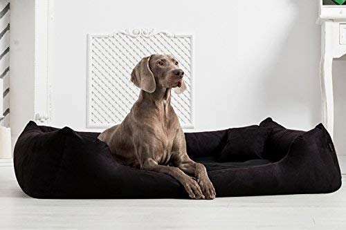 tierlando® Orthopädisches Hundebett Pluto Soft | Visco | Samtweiches Velours: A Größe: PLV5 130x100 cm | B Farbe: 03 Schwarz