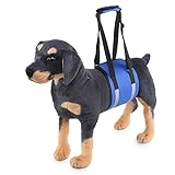 Dog Lift Harness,Pet Support & Rehabilitation Sling Lift Adjustable Padded Breathable Straps for Old,Disabled,Loss of Stability Dogs Walk (Color : Blue, Size : S)