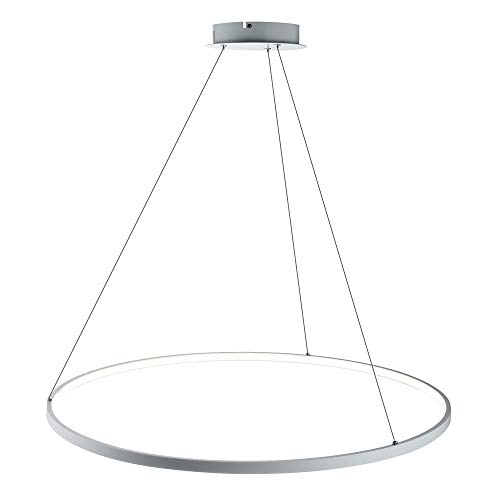 1-Licht Kreis Pendelleuchte LED Metall Acryl Kronleuchter Modern Hängend Verstellbar Hängeleuchte Für Wohnzimmer Schlafzimmer Küche,White+WarmLight-40cm