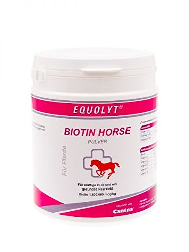 Equolyt Biotin Horse Pulver, 1er Pack (1 x 0.5 kg)