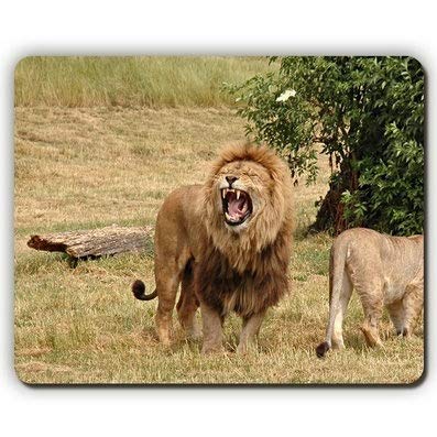 (dauerhafte Präzise Gemeinsame Mousepad) die Hohe Qualität Mousepad, Löwen Löwen auf Aggression Holz, Jagd, Spiel - Büro - Mousepad