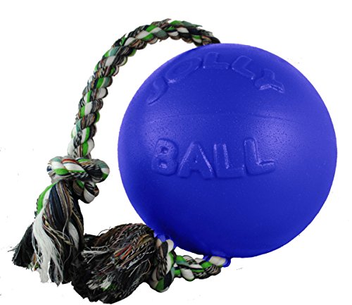 Jolly Pets JOLL049F Hundespielzeug - Ball Romp-n-Roll, 10 cm, blau