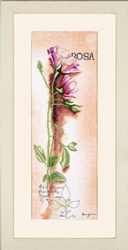 Lanarte Zählmusterpackung Rose Botanisch Kreuzstichpackung, Baumwolle, Mehrfarbig, 20 x 60 x 0.3 cm