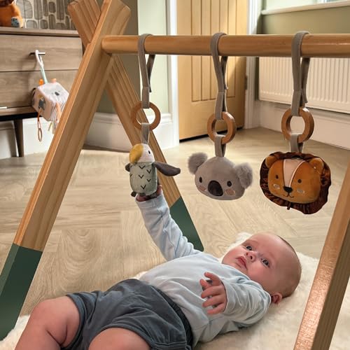 Nuby Animal Adventures Spielstudio aus Holz - Aktivität Baby Fitnessstudio geeignet ab Geburt mit Tierspielzeug für sensorische Entwicklung