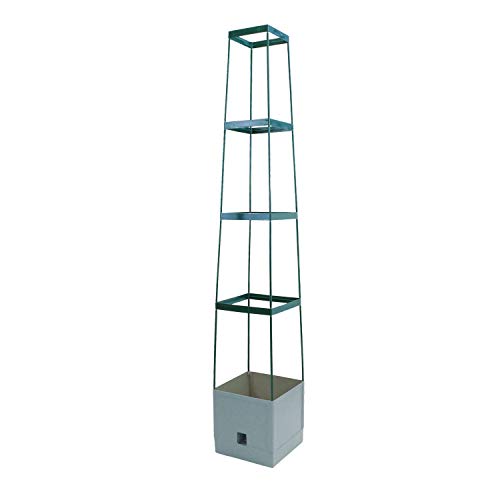 Bio Green Pflanzen-Aufzucht-Turm „Maxitom“ mit Rankhilfe und 2 Liter Wasserspeicher | 16 Liter Fassungsvermögen | 150 cm Höhe | Farbe: anthrazit