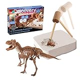 Discovery 6000445 Ausgrabungs-Set, Archäologie, Flussgrabungen, Skelette, Dinosaurier-Ausgraben