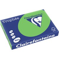 Clairalfa Multifunktionspapier, DIN A3, 160 g/qm, maigrün