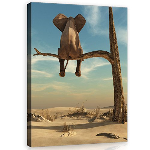 DekoShop Leinwandbild Canvas Wandbild Kunstdruck Elefant auf dem Baum AMDPP11898O1 O1 (100cm. x 75cm.)