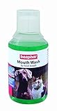 Beaphar Hunde Mundwasser 250 ml (3 Stück)
