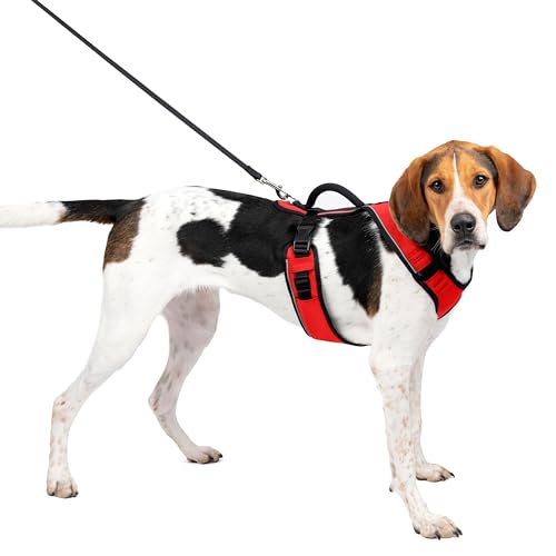 PetSafe Easy Sport Hundegeschirr L rot, extra, Reflektoren, Geschirrgriff, für große Hunde