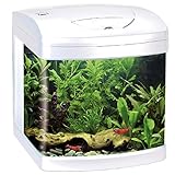 Wave Amtra Laguna XCUBE 26 LED Schwarz - Aquarium komplett mit LED-Beleuchtung und Filter/cm 31x32x37 / 26 Liter