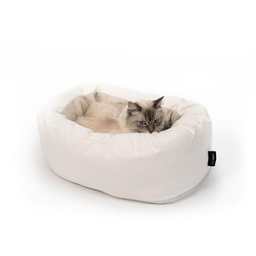 LucyBalu® Dinghy Katzenbett waschbar für kleine & große Katzen | Katzen Schlafplatz | Katzenkissen | Katzensofa | Katzen Kuschelbett | Katzen Bettchen | Katzen Couch | Katzen Liegeplatz | Weiß