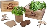 Planète Plante 170608 Planet Wooden Planter with 4 Jute Bags-4 Varieties of Plants-Gardening Kit-18 cm-for Ages 4 and Up, Multicolored