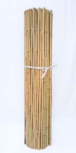 poppe-portal 24/26 mm 150x250cm goldgelb Bambusrollzaun Rollzaun Bamboo