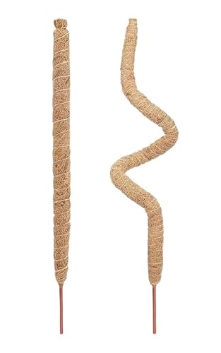 ATooi Moosstange für Pflanzen Pflanze Klettersäule Käfig Pole Pflanzenstützverlängerung für Monstera Kokosstangen Reben Stick Gartenwerkzeug (Größe: 7 mm Aluminiumdraht-01)
