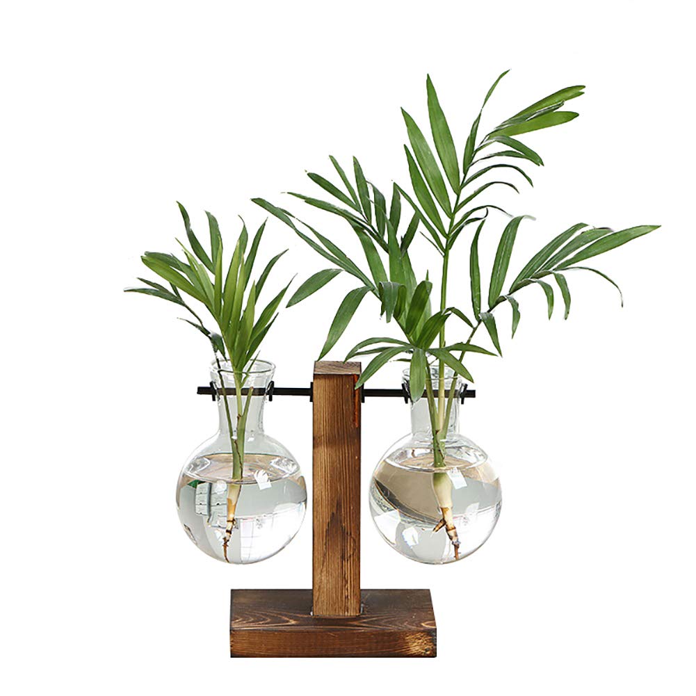 Delaspe Pflanzenvasen, Hydrokultur, Pflanzgefäße aus Glas, vertikal, mit Holzrahmen, Vintage, geeignet für die Dekoration von Büro, Garten zu Hause