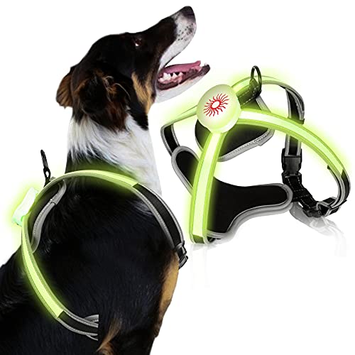 Riossad LED Hundegeschirr, Brustgeschirr für Hunde, Hundegeschirr Beleuchtetes, USB aufladbar and LED Hundeweste Leuchtend + reflektierend