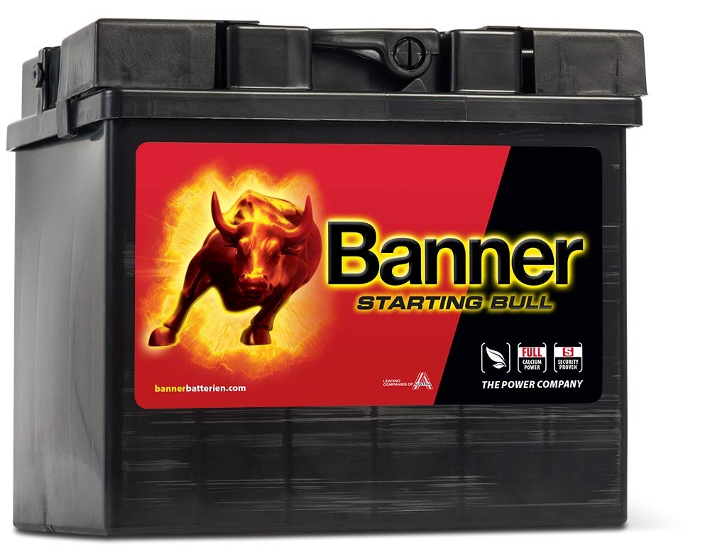 Banner 53034 Starting Bull 30Ah Autobatterie