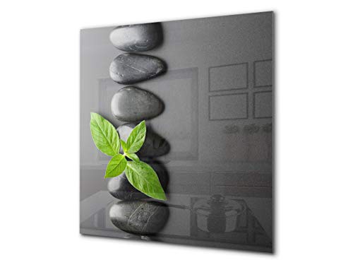 Einzigartiges Glas-Küchenpanel - Hartglas-Rückwand - Kunstdesign Glasaufkantung BS02 Serie Stein: Leaves On The Stone