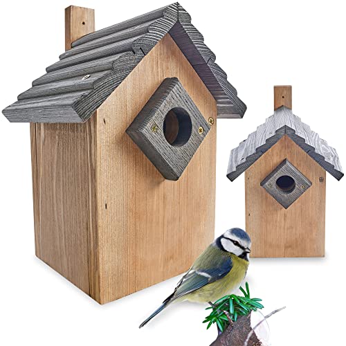 Stabiler Nistkasten für Wildvögel/Gartenvögel - mit sicherem Schutz gegen Nesträuber – witterungsbeständig und langlebig für draußen – Nistkasten