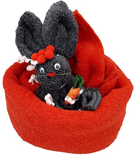Frotteebox Geschenk Set Schwarzwald Hase im Nest in Handarbeit geformt aus 1x Handtuch rot (100x50cm) und 1x Waschhandschuh grau