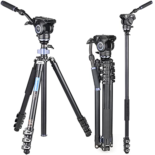 ARTCISE RF70 73,4"/186,5 cm Professionelles Hochleistungs-Videostativ Fast Flip Lock Panorama-Fluidkopf mit halber Kugelschale für digitale DSLR-Kamera-Camcorder