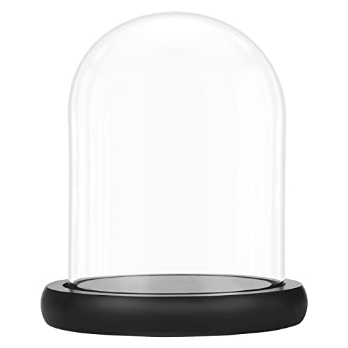 Belle Vous Glasglocke Deko mit Schwarzem Holzsockel - 19,5 cm Hoch - Klare Dekorative Glocke aus Glas mit Tablett für Lichterketten, Tafelschmuck und Antiquitäten