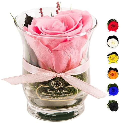 Rosen-Te-Amo - 1 Premium haltbare pinke Rose in der Vase mit echten Bindegrün; Konservierte Rose im Glass: 3 Jahre haltbar ohne Wasser perfekt als Geschenk oder Deko