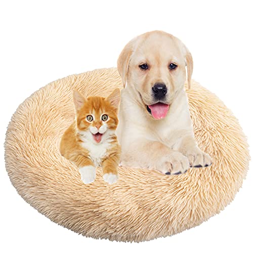 Hundebett, Rund Plüsch Haustierbett Flauschig Waschbares Katzenbett mit Reißverschluss Warme Donut Hundekissen für Haustiere- Apricot|| Ø 60cm/24in