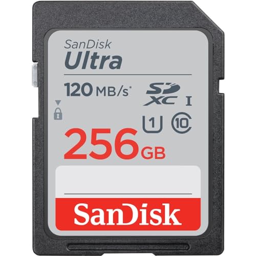 SanDisk Ultra 256 GB SDHC-Speicherkarte mit bis zu 100 MB / s, Klasse 10 UHS-I