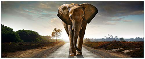 Wallario Glasbild Elefant bei Sonnenaufgang in Afrika - 50 x 125 cm in Premium-Qualität: Brillante Farben, freischwebende Optik