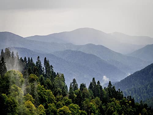 Erwachsenenpuzzle ab 14 Jahren, Berge, Wald, Bäume, Nebel, Natur, Landschaft 70x50cm